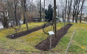 Unser Hopfengarten